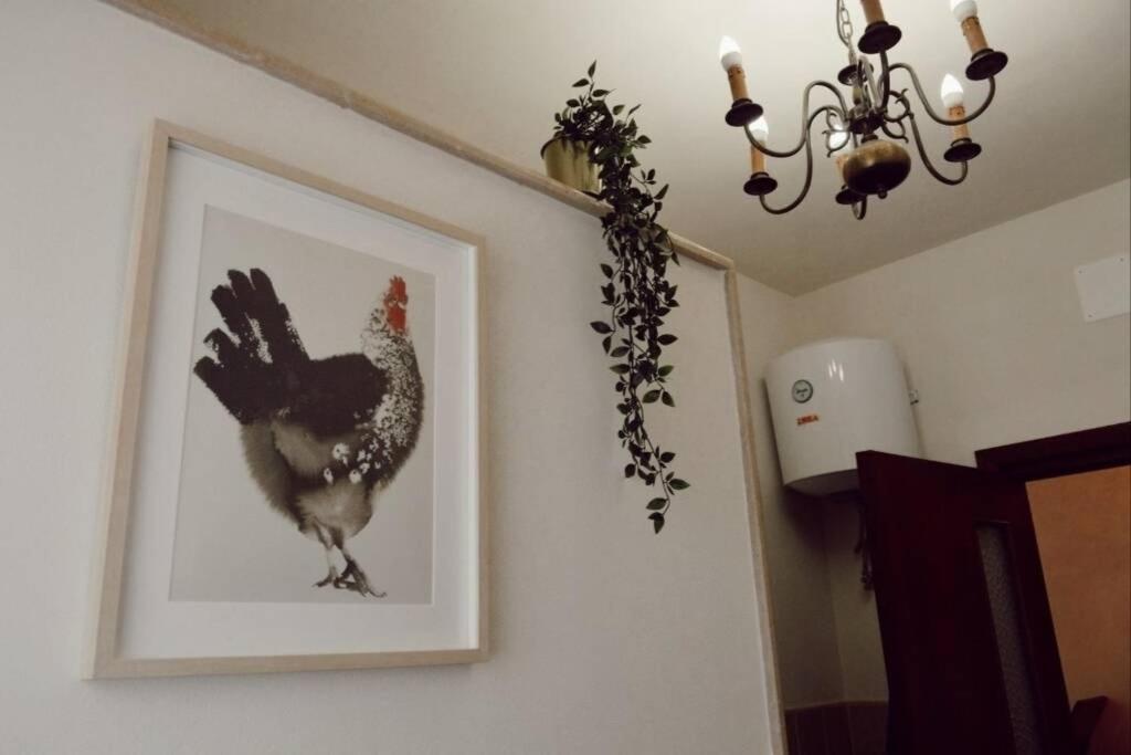 Trulli Monteforte Villa Castelli エクステリア 写真