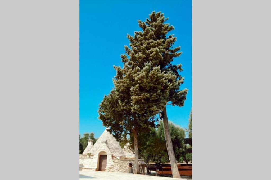 Trulli Monteforte Villa Castelli エクステリア 写真