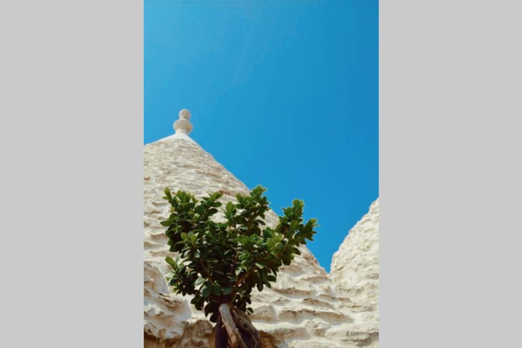 Trulli Monteforte Villa Castelli エクステリア 写真